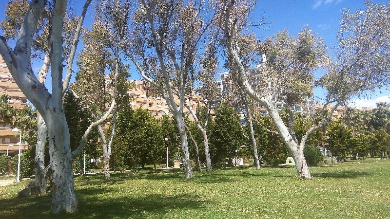 דירות אורופסה דל מר Acv - Costa Marina I-1ª Linea Planta 2 Sur מראה חיצוני תמונה
